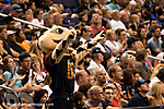 Arizona Rattlers Win #11