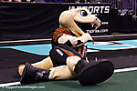 IMG_4235 LR LR