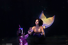 IMG_8031