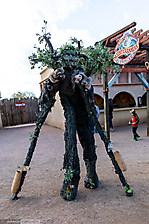 IMG_8912
