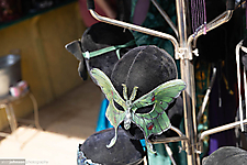 AK1A0441_1774374765_69c2cf6d6dce8