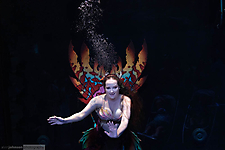 AK1A0460_1774374765_69c2cf6da7746