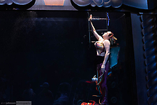 AK1A0467_1774374765_69c2cf6db03b2