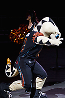 33 IMG_2727 LR