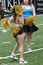 IMG_8870-denoise-denoise