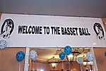 basset-ball-scottsdale-2009_03