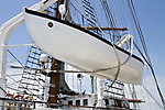 C_IMG_3826 LR