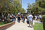IMG_0924 LR