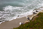 14A_IMG_5044
