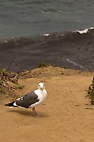 F_IMG_4999
