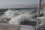 IMG_0081 LR