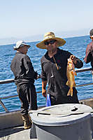 Beat The Heat Road Trip - Sportfishing Trip