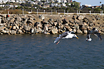 IMG_0231 LR