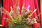 zimg_0081-9
