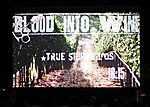 w-scottsdale-blood-into-wine-movie-premiere-2010_52