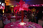 zimg_0290-3