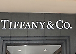 tiffany-bridal-event-phoenix-july-2009_27