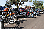 IMG_245.JPG-39