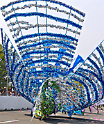 3I5A0169
