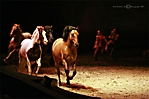 cavalia-027-ps-2-copyright