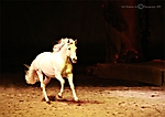 cavalia-056-ps-2-copyright