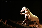 cavalia-066-ps-copyright