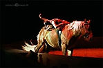 cavalia-076-ps-copyright