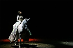 cavalia-128-ps-2-copyright