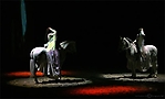 cavalia-134-ps-copyright1