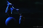 cavalia-2-194-ps-copyright