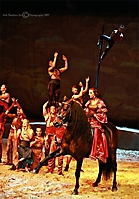 cavalia-275-ps-2-copyright