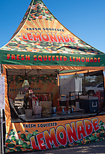 P3271687_1774970330_69cbe5daabe8d