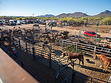 P3271707_1774970339_69cbe5e392f8d