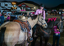 P3271778_1774970355_69cbe5f36fe9a