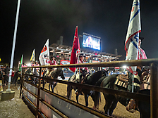 P3271824_1774970362_69cbe5fa5e85c