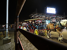 P3271831_1774970362_69cbe5fadb0c5