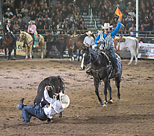 P3271879_1774970368_69cbe60017ee4