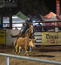 P3271891_1774970369_69cbe6016bdeb