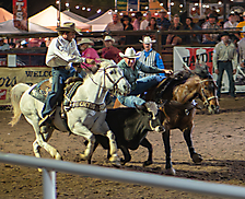 P3271943_1774970370_69cbe602bb9ca