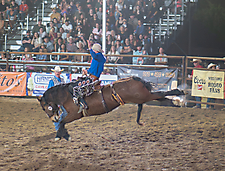 P3271970_1774970372_69cbe604a22a8