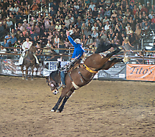 P3271972_1774970373_69cbe605352dc