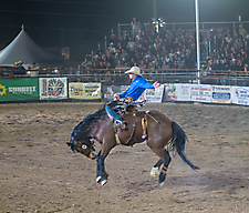 P3271981_1774970374_69cbe6065c13c