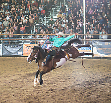 P3271993_1774970375_69cbe60723fa6