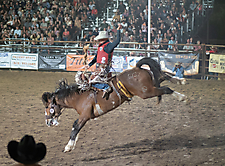 P3272056_1774970375_69cbe607c1612