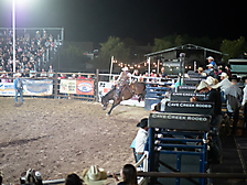 P3272078_1774970376_69cbe60849e25