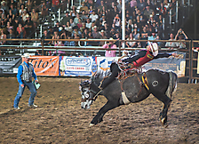 P3272126_1774970376_69cbe608d45c0