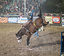 P3272179_1774970378_69cbe60a42d5b