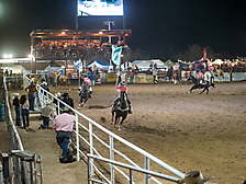 P3272198_1774970380_69cbe60c74d03