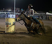 P3272287_1774970387_69cbe6131410d