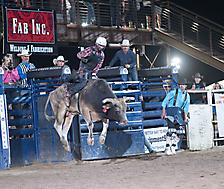 P3272312_1774970388_69cbe61464b0c